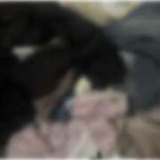 ヒメ日記 2025/08/19 16:54 投稿 ちか 佐賀人妻デリヘル 「デリ夫人」