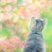 ヒメ日記 2025/08/28 15:04 投稿 ちか 佐賀人妻デリヘル 「デリ夫人」