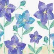 ヒメ日記 2025/08/29 22:45 投稿 ちか 佐賀人妻デリヘル 「デリ夫人」