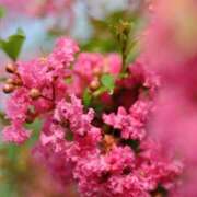 ヒメ日記 2025/09/04 07:20 投稿 ちか 佐賀人妻デリヘル 「デリ夫人」