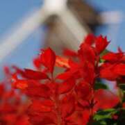 ヒメ日記 2025/09/05 18:32 投稿 ちか 佐賀人妻デリヘル 「デリ夫人」