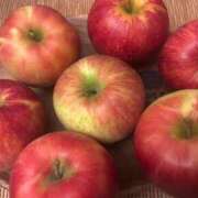 ヒメ日記 2025/09/06 16:56 投稿 ちか 佐賀人妻デリヘル 「デリ夫人」