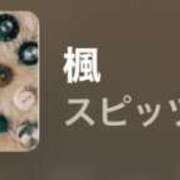 ヒメ日記 2025/09/17 14:15 投稿 ちか 佐賀人妻デリヘル 「デリ夫人」