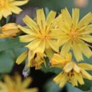 ヒメ日記 2025/09/18 00:15 投稿 ちか 佐賀人妻デリヘル 「デリ夫人」