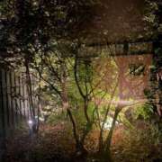 ヒメ日記 2025/09/20 01:08 投稿 ちか 佐賀人妻デリヘル 「デリ夫人」