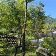 ヒメ日記 2025/09/25 14:01 投稿 ちか 佐賀人妻デリヘル 「デリ夫人」