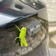 ヒメ日記 2025/10/02 14:15 投稿 ちか 佐賀人妻デリヘル 「デリ夫人」