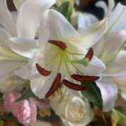 ヒメ日記 2025/10/07 06:24 投稿 ちか 佐賀人妻デリヘル 「デリ夫人」