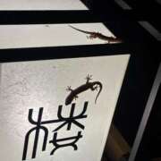 ヒメ日記 2025/10/16 00:30 投稿 ちか 佐賀人妻デリヘル 「デリ夫人」