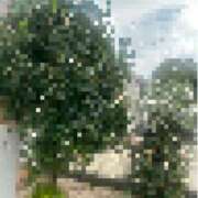 ヒメ日記 2025/10/18 13:01 投稿 ちか 佐賀人妻デリヘル 「デリ夫人」