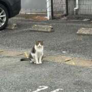 ヒメ日記 2025/10/21 09:56 投稿 ちか 佐賀人妻デリヘル 「デリ夫人」