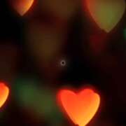 ヒメ日記 2025/12/26 15:06 投稿 ちか 佐賀人妻デリヘル 「デリ夫人」