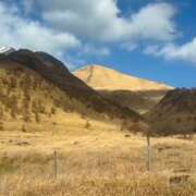 ヒメ日記 2025/12/29 14:17 投稿 ちか 佐賀人妻デリヘル 「デリ夫人」