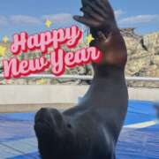 ヒメ日記 2026/01/03 07:57 投稿 ちか 佐賀人妻デリヘル 「デリ夫人」