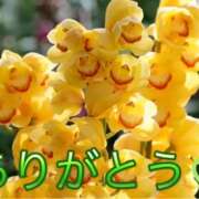 ヒメ日記 2026/01/05 15:21 投稿 ちか 佐賀人妻デリヘル 「デリ夫人」