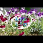 ヒメ日記 2026/01/05 19:19 投稿 ちか 佐賀人妻デリヘル 「デリ夫人」