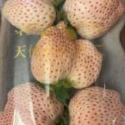 ヒメ日記 2026/01/06 16:26 投稿 ちか 佐賀人妻デリヘル 「デリ夫人」