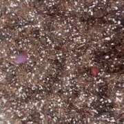 ヒメ日記 2026/01/11 12:46 投稿 ちか 佐賀人妻デリヘル 「デリ夫人」