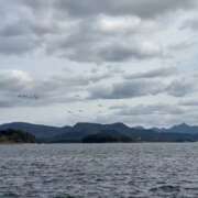 ヒメ日記 2026/01/14 09:04 投稿 ちか 佐賀人妻デリヘル 「デリ夫人」