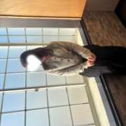 ヒメ日記 2026/01/14 09:37 投稿 ちか 佐賀人妻デリヘル 「デリ夫人」