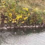 ヒメ日記 2026/01/15 14:20 投稿 ちか 佐賀人妻デリヘル 「デリ夫人」