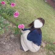 ヒメ日記 2026/01/20 20:48 投稿 ちか 佐賀人妻デリヘル 「デリ夫人」