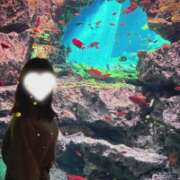 ヒメ日記 2026/01/22 00:01 投稿 ちか 佐賀人妻デリヘル 「デリ夫人」