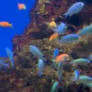 ヒメ日記 2026/01/24 01:22 投稿 ちか 佐賀人妻デリヘル 「デリ夫人」