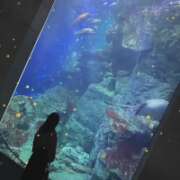 ヒメ日記 2026/01/27 02:30 投稿 ちか 佐賀人妻デリヘル 「デリ夫人」