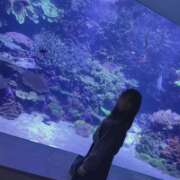 ヒメ日記 2026/01/30 01:16 投稿 ちか 佐賀人妻デリヘル 「デリ夫人」