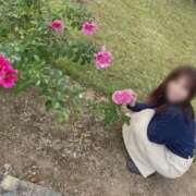 ヒメ日記 2026/02/03 16:30 投稿 ちか 佐賀人妻デリヘル 「デリ夫人」