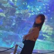 ヒメ日記 2026/02/04 16:54 投稿 ちか 佐賀人妻デリヘル 「デリ夫人」