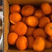 ヒメ日記 2026/02/05 19:57 投稿 ちか 佐賀人妻デリヘル 「デリ夫人」