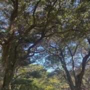 ヒメ日記 2026/02/12 09:09 投稿 ちか 佐賀人妻デリヘル 「デリ夫人」