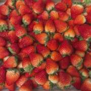 ヒメ日記 2026/02/14 19:33 投稿 ちか 佐賀人妻デリヘル 「デリ夫人」