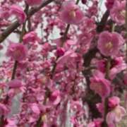 ヒメ日記 2026/02/21 17:44 投稿 ちか 佐賀人妻デリヘル 「デリ夫人」