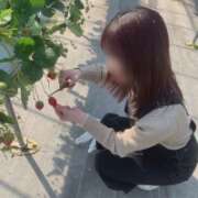 ヒメ日記 2026/02/28 22:13 投稿 ちか 佐賀人妻デリヘル 「デリ夫人」