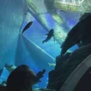 ヒメ日記 2026/03/04 23:50 投稿 ちか 佐賀人妻デリヘル 「デリ夫人」