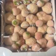 ヒメ日記 2026/03/06 00:16 投稿 ちか 佐賀人妻デリヘル 「デリ夫人」