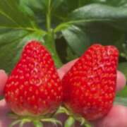 ヒメ日記 2026/03/06 22:31 投稿 ちか 佐賀人妻デリヘル 「デリ夫人」