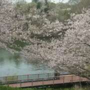 ヒメ日記 2026/03/09 13:53 投稿 ちか 佐賀人妻デリヘル 「デリ夫人」