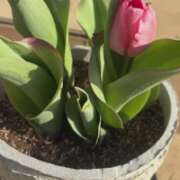 ヒメ日記 2026/03/24 16:49 投稿 ちか 佐賀人妻デリヘル 「デリ夫人」