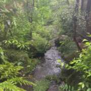 ヒメ日記 2026/03/25 09:40 投稿 ちか 佐賀人妻デリヘル 「デリ夫人」