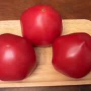 ヒメ日記 2026/03/28 17:49 投稿 ちか 佐賀人妻デリヘル 「デリ夫人」