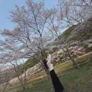 ヒメ日記 2026/03/28 22:20 投稿 ちか 佐賀人妻デリヘル 「デリ夫人」