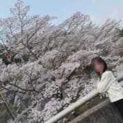 ヒメ日記 2026/03/29 07:00 投稿 ちか 佐賀人妻デリヘル 「デリ夫人」