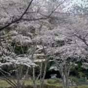 ヒメ日記 2026/03/29 14:06 投稿 ちか 佐賀人妻デリヘル 「デリ夫人」