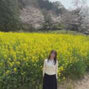 ヒメ日記 2026/03/29 16:33 投稿 ちか 佐賀人妻デリヘル 「デリ夫人」