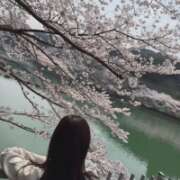 ヒメ日記 2026/03/31 06:48 投稿 ちか 佐賀人妻デリヘル 「デリ夫人」