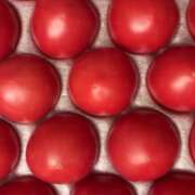 ヒメ日記 2026/03/31 17:12 投稿 ちか 佐賀人妻デリヘル 「デリ夫人」